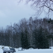 2014.12.24-194