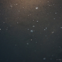 2014.12.24-235