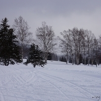 2014.12.25-056
