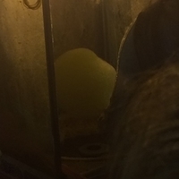 2014.01.26-011.JPG
