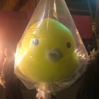 2014.01.26-017.JPG