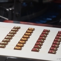 2015.03.21-047.JPG