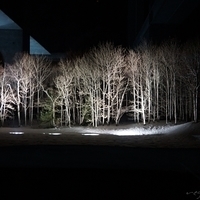2015.03.21-108.JPG