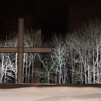 2015.03.21-109.JPG