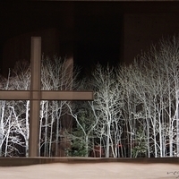 2015.03.21-110.JPG