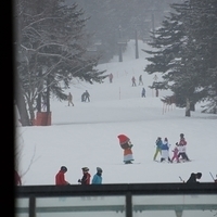 2015.03.22-055.JPG