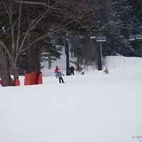 2015.03.22-109.JPG