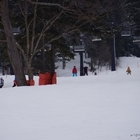 2015.03.22-110.JPG