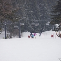 2015.03.22-125.JPG