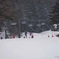 2015.03.22-126.JPG