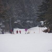 2015.03.22-127.JPG