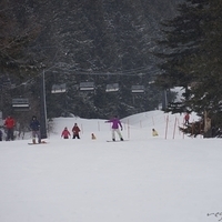 2015.03.22-128.JPG