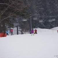 2015.03.22-129.JPG