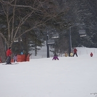 2015.03.22-130.JPG