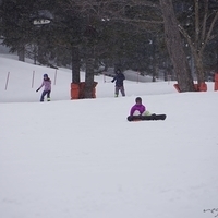 2015.03.22-132.JPG
