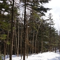 2015.03.22-177.JPG