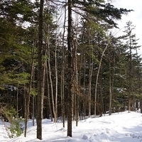 2015.03.22-178.JPG