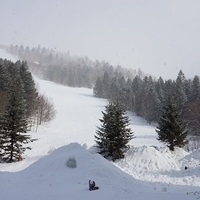 2015.03.23-012.JPG