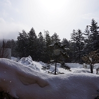 2015.03.23-014.JPG