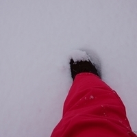 2015.03.23-022.JPG