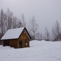 2015.03.23-041.JPG