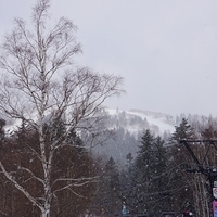 2015.03.23-043.JPG