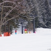 2015.03.23-045.JPG