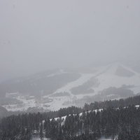 2015.03.23-092.JPG