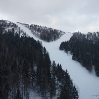 2015.03.23-116.JPG