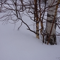 2015.03.24-030.JPG