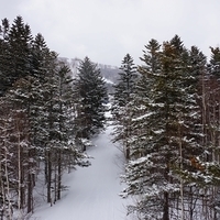 2015.03.24-049.JPG