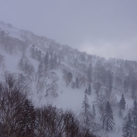 2015.03.24-051.JPG