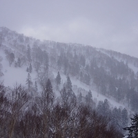 2015.03.24-052.JPG