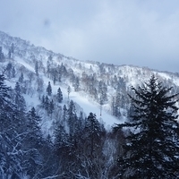 2015.03.24-071.JPG