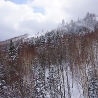 2015.03.24-073.JPG