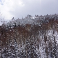 2015.03.24-074.JPG