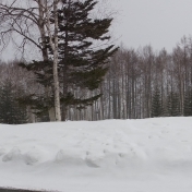 2015.03.24-083.JPG