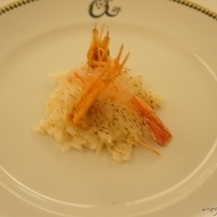 2015.03.24-122.JPG