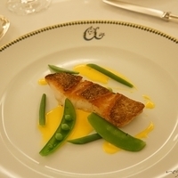 2015.03.24-124.JPG