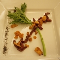 2015.03.24-126.JPG