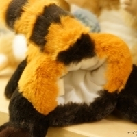 2015.03.24-143.JPG