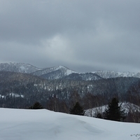 2015.03.25-022.JPG