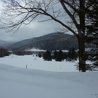 2015.03.25-023.JPG