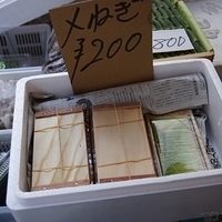 2015.06.20-059