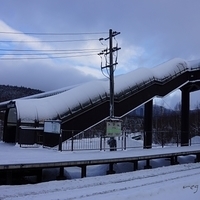 2015.12.22-029