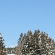 2015.12.23-020