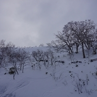 2015.12.23-102