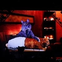 2014.04.28-Katy Perry-208