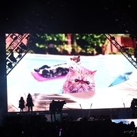 2014.04.28-Katy Perry-234