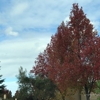November in USA